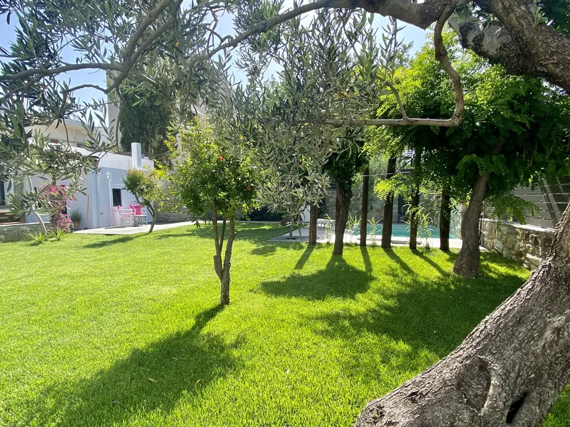 Svolis Townhouse, Area esterna